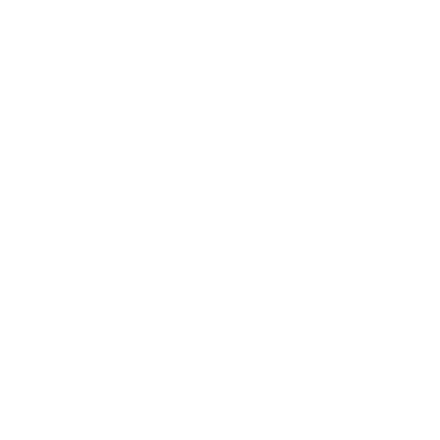 Project Management